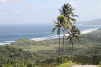 Inselrundfahrt Barbados 
