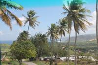 Inselrundfahrt Barbados 