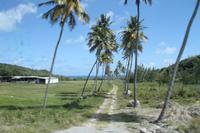 Inselrundfahrt Barbados 