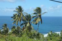 Inselrundfahrt Barbados 