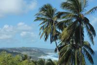 Inselrundfahrt Barbados 