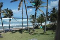 Inselrundfahrt Barbados - Bathsteba