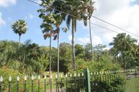 Trinidad & Tobago - Port of Spain - Stadtrundfahrt