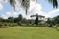 Trinidad & Tobago - Port of Spain - Botanischer Garten