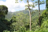 Trinidad & Tobago - Inselrundfahrt