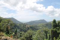 Trinidad & Tobago - Inselrundfahrt