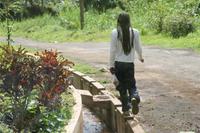 Grenada - Inselrundfahrt