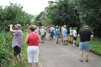 Grenada - Inselrundfahrt