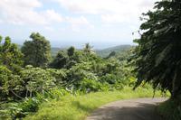 Grenada - Inselrundfahrt