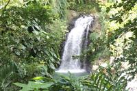 Grenada - Wasserfall im Etang N.P.