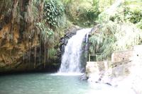 Grenada - Wasserfall im Etang N.P.