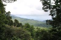 Dominica - Baden im Emerald Pool