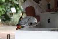 Guadeloupe - Parc National de la Guadeloupe