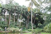 Guadeloupe - Parc National de la Guadeloupe