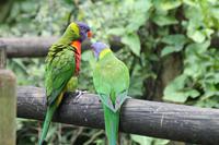 Guadeloupe - Parc National de la Guadeloupe