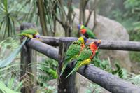 Guadeloupe - Parc National de la Guadeloupe