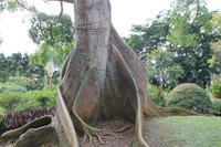 Guadeloupe - Parc National de la Guadeloupe