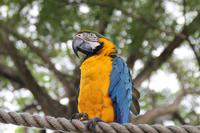 Guadeloupe - Parc National de la Guadeloupe