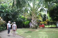 Guadeloupe - Parc National de la Guadeloupe