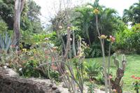 Guadeloupe - Parc National de la Guadeloupe