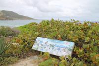 St.Maarten - Ausflug zu Pinel Island