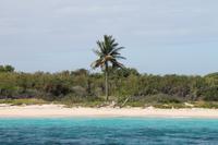 Dom. Rep. - Katamaran-Ausflug