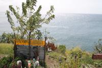 St.Kitts - Inselrundfahrt