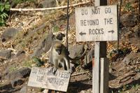St.Kitts - Inselrundfahrt