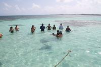 Antigua - Stachelrochen-Ausflug