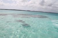 Antigua - Stachelrochen-Ausflug