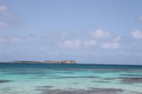 Antigua - Stachelrochen-Ausflug