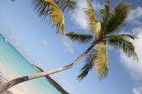 Antigua - Dickinson Beach 