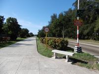 Quinta Avenida Havanna