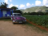 Vinales Tal