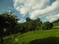 Auf dem Weg nach Trinidad