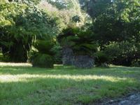 Botanischer Garten Cienfuegos