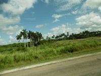 Auf dem Weg nach Havanna