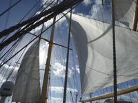 unter weißen Segeln