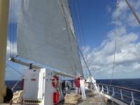 unter weißen Segeln