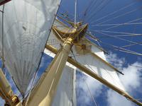 unter weißen Segeln