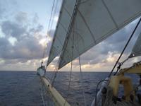 unter weißen Segeln