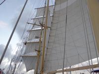 unter weißen Segeln