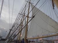 unter weißen Segeln