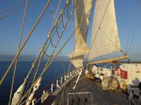 unter weißen Segeln