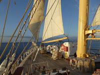 unter weißen Segeln