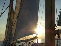 unter weißen Segeln