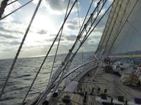 unter weißen Segeln