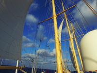 unter weißen Segeln