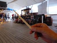 Stachel vom Stachelrochen