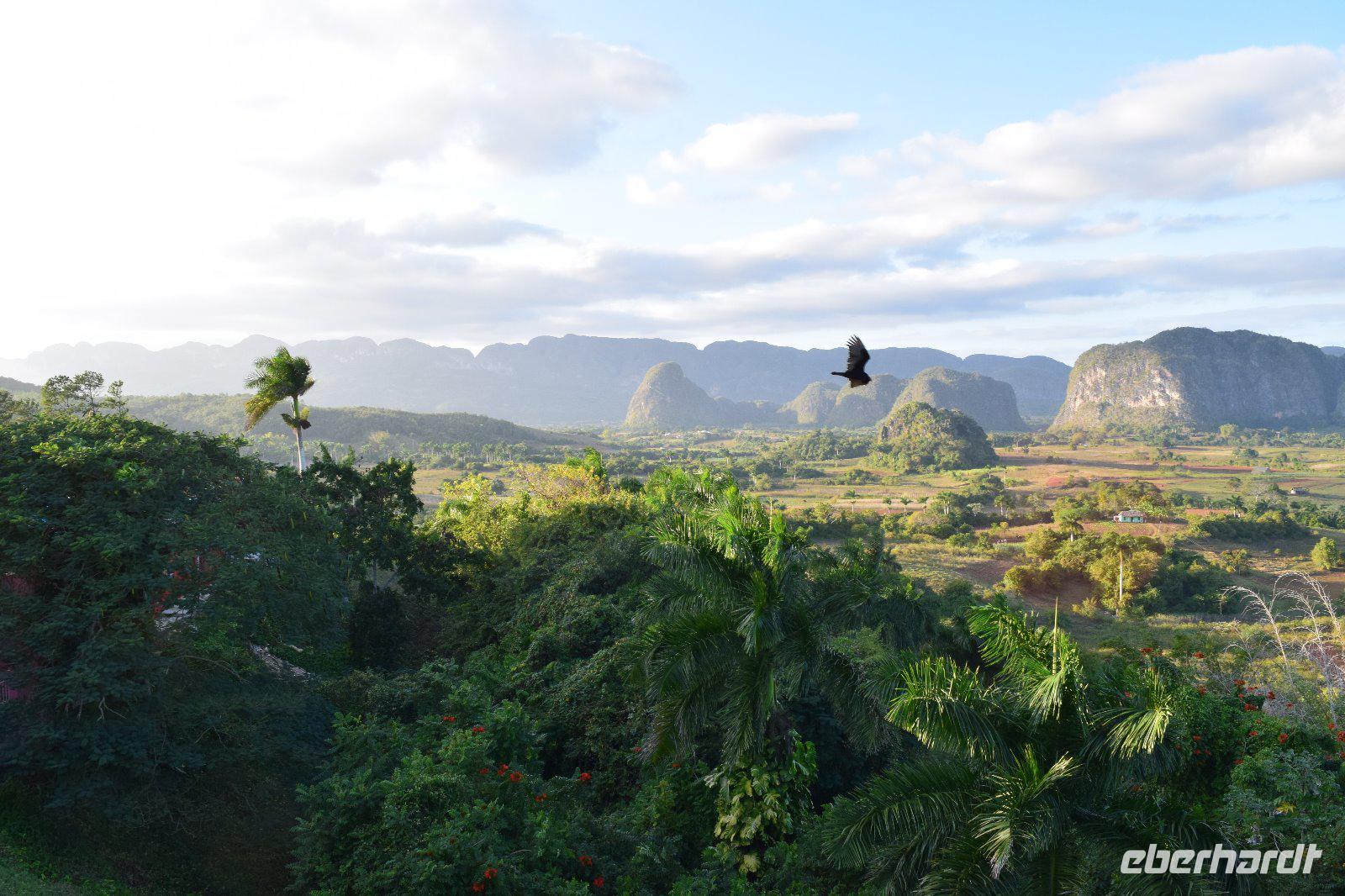 Karstlandschaft in der Provinz Pinar del Rio